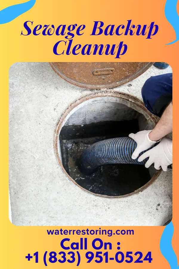 Sewage Backup Cleanup in Bolton, OH